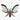Madagascar Silk Moth Ornament - Trichaeta