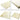 Wool Puddle Pad - Organic Cotton Futon Mattress Protector