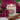 Rodeo Rose |  Spicy, floral, and smoky Candle - untamed and elegant