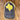 Texas Rose Hat