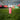 20 oz. Tumbler | SIC X DONNA Run with a Purpose - Matte Pink
